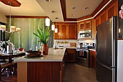 Dancing Dolphins Point