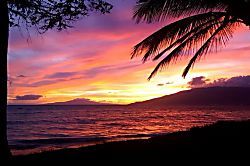 Maui Private  Beachfront Home