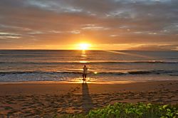 Maui Private  Beachfront Home
