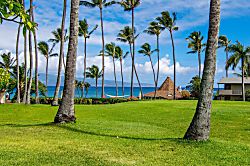 Napili Shores Resort G-156
