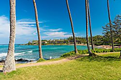 Napili Shores Resort G-156