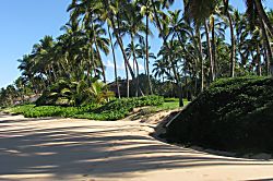 Grand Champions 1 Bedroom Unit