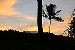 Shores at Waikoloa 106