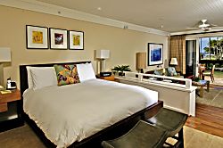 Ocean Villas at Turtle Bay #102-103