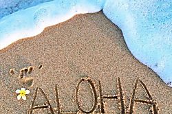 Halii Kai Resort 16G