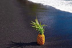 Halii Kai Resort 16G