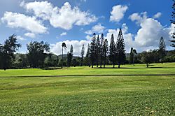 Green Turtle Hideaway