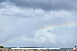 Green Turtle Hideaway