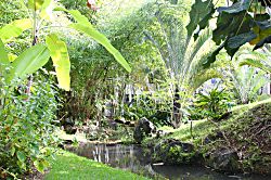 Waikomo Stream Villas 102