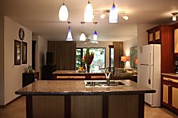 Waikomo Stream Villas 102