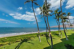 Sugar Beach Resort 427