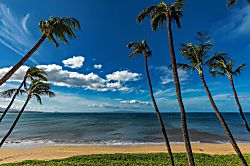 Sugar Beach Resort 427