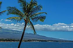 Sugar Beach Resort 414