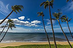 Sugar Beach Resort 236