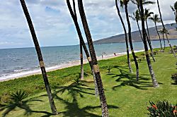 Sugar Beach Resort 236