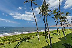 Sugar Beach Resort 236