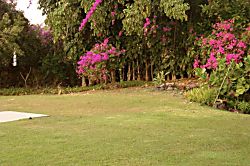 Keauhou Punahele #B103