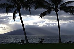 Kihei Beachfront Condo 2037