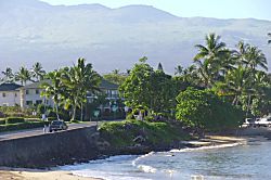 Kihei Beachfront Condo 2037
