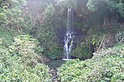 Kihei Beachfront Condo 2037