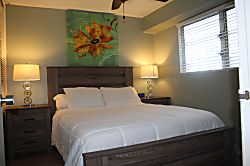 Waikiki Ocean View Condo 2BR 