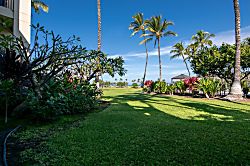 Mauna Lani Terrace H 102