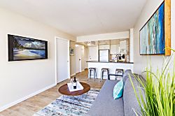 Ilikai Collection #1201