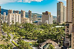 Ilikai Collection #1201