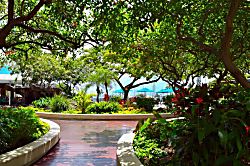 Ilikai Collection #1201