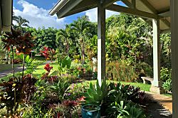 Home of the Opening Flower