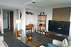 Kona Vacation Rental Oceanview