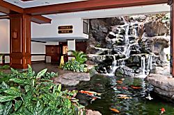 Waikiki Banyan Ocean View Unit