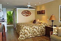 Napili Bay Oceanfront Studio Condo #101 - Maui