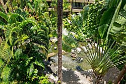 Aston Paki Maui #102