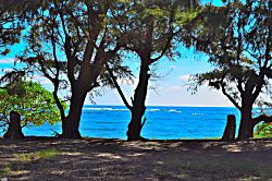 Village Manor Rental