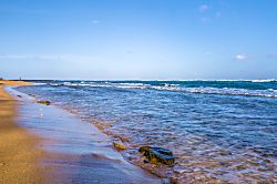 Village Manor Rental