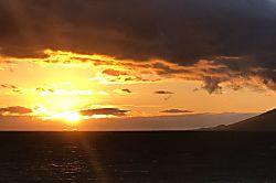 Maui Banyan H building