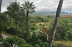 Maui Banyan H building