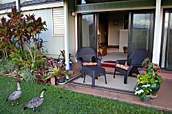 Views, Location and Setting!