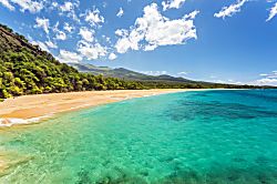 Kamaole Beach Club C-106