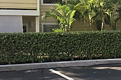 Fairway Terrace Waikoloa, Hi