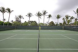 Oasis at Turtle Bay Condo