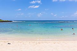 Oasis at Turtle Bay Condo