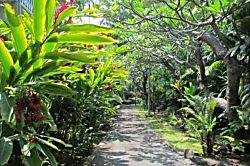 Kona Islander Inn, Unit 322