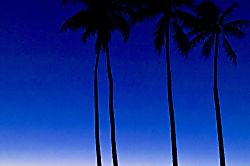 Waikiki Grand Hotel Unit 134