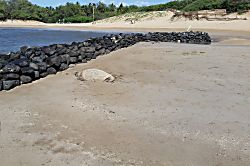 Kihei Bay Surf Vacation Rental