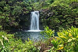 Kamaole Sands Building 5