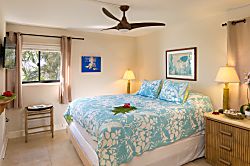 Poipu Oceanfront Corner Condo 