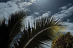 Aston Maui Hill Resort