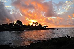 Kuhio Shores 106